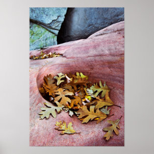 USA, Utah, Zion National Park. Spaanoekblad Poster