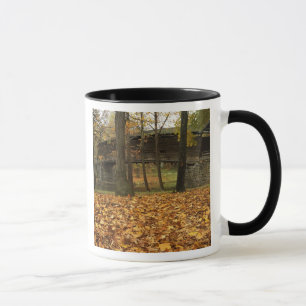 USA, Virginia, Covington, Humpback Covered Mok