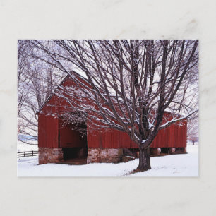USA, Virginia, Fairfax County, Barn en Maple Briefkaart