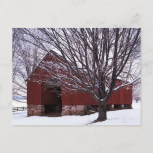 USA, Virginia, Fairfax County, Barn en Maple Briefkaart