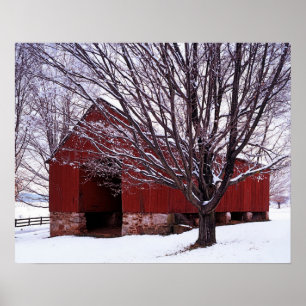 USA, Virginia, Fairfax County, Barn en Maple Poster