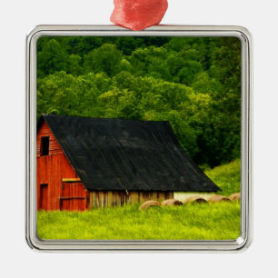 USA, Virginia, Shenandoah National Park, 2 Metalen Ornament