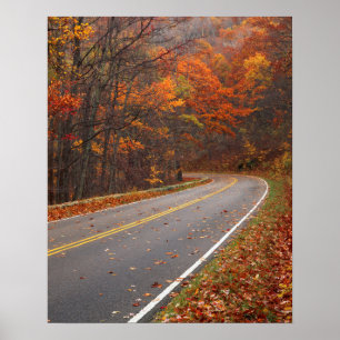 USA, Virginia, Shenandoah National Park, Skyline Poster