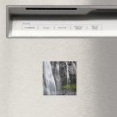 USA, WA, Mt. Rainier NP, Narada Herfsten Magneet (Insitu (Vaatwasser))