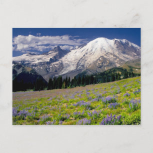 USA, Washington, Mt. Rainier National Park. Briefkaart