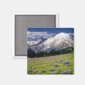 USA, Washington, Mt. Rainier National Park. Magneet (Voorkant / Achterkant)