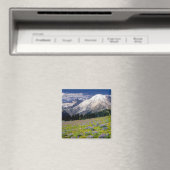 USA, Washington, Mt. Rainier National Park. Magneet (Insitu (Vaatwasser))