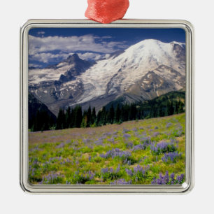 USA, Washington, Mt. Rainier National Park. Metalen Ornament