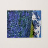 USA, Washington, Mt. Rainier National Park. Mt. Legpuzzel (Horizontaal)