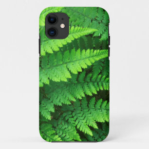 USA, Washington, Olympic National Park, Athyrium iPhone 11 Hoesje
