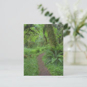 USA, Washington, Olympic National Park Briefkaart (Staand voorkant)