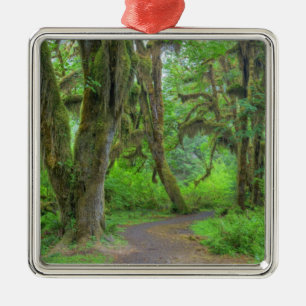 USA, Washington, Olympic National Park, Hoh Metalen Ornament