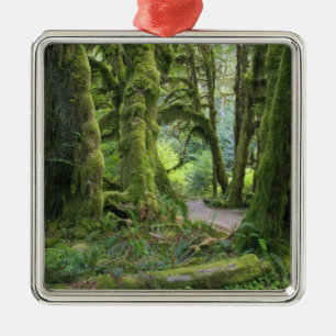 USA, Washington, Olympic National Park, Hoh Rain Metalen Ornament