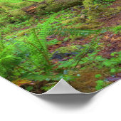 USA, Washington, Olympic National Park, Hoh Rain Poster (Hoek)