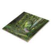 USA, Washington, Olympic National Park, Hoh Rain Tegeltje (Zijkant)