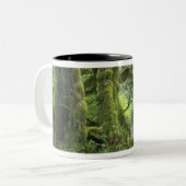 USA, Washington, Olympic National Park, Hoh Rain Tweekleurige Koffiemok (Voorkant links)