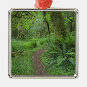 USA, Washington, Olympic National Park Metalen Ornament