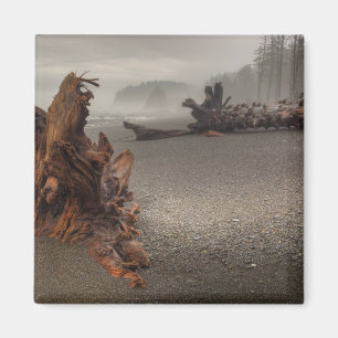 USA, Washington, Olympic National Park, Rialto 2 Magneet