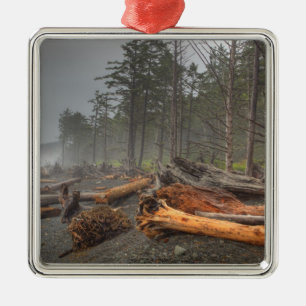 USA, Washington, Olympic National Park, Rialto Metalen Ornament