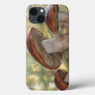 USA, Washington, Seabeck. Leccinum Insigne iPhone 13 Hoesje