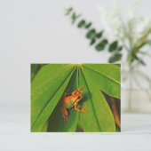 USA, Washington, Seattle, Discovery Park 2 Briefkaart (Staand voorkant)