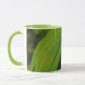 USA, Washington, Seattle, Discovery Park 2 Mok (Links)