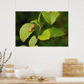 USA, Washington, Seattle, Discovery Park Poster (Keuken)