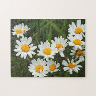 USA, Washington, Seattle, Puget Sound 3 Legpuzzel