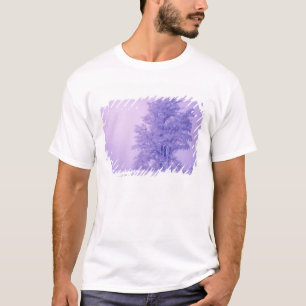 USA, Washington, Spokane County, Frosted T-shirt