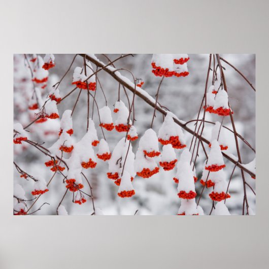 USA, Washington, Spokane County Poster (Voorkant)