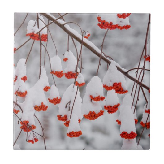 USA, Washington, Spokane County Tegeltje (Voorkant)