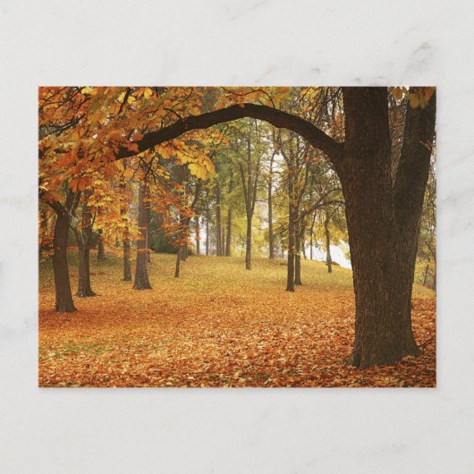 USA, Washington, Spokane, Manito Park, herfst 2 Briefkaart (Voorkant)