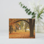 USA, Washington, Spokane, Manito Park, herfst 2 Briefkaart (Staand voorkant)