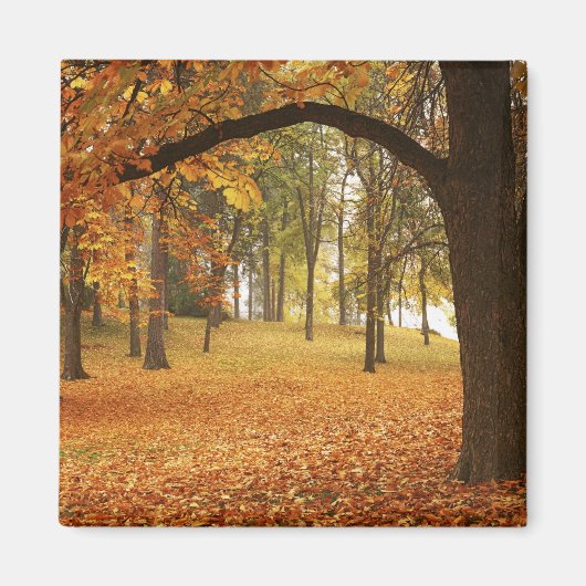 USA, Washington, Spokane, Manito Park, herfst 2 Magneet (Voorkant)