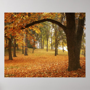 USA, Washington, Spokane, Manito Park, herfst 2 Poster