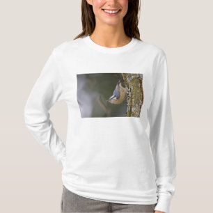 USA, Washington State, Red-brested Nuthatch, T-shirt