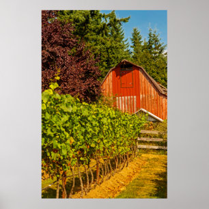 USA, Washington, Whidbey Island. Wijngaard Poster