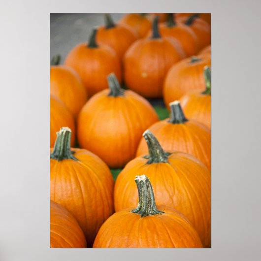 USA, West Virginia, Charleston. Capitol 2 Poster (Voorkant)