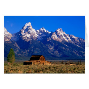 USA, Wyoming, Grand Teton National Park, matin