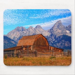 USA, Wyoming, Grand Teton National Park. Muismat