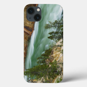 USA, Wyoming, Yellowstone National Park iPhone 13 Hoesje