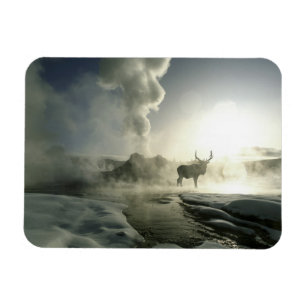USA, Wyoming, Yellowstone National Park. Sunrise Magneet