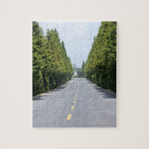 USA, Yellowstone National Park, Treelined road Legpuzzel