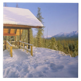 USFS Schnauss Cabin-huur in de winter met uitzicht Tegeltje