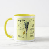 Ushpizin & Arba Minim (4 soorten) Mok (Links)
