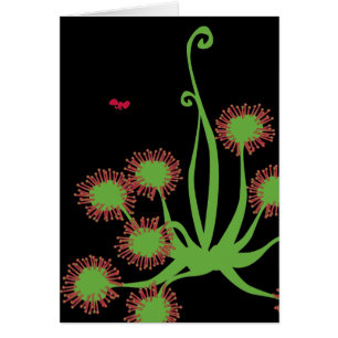 Usine de Sundew carnivore