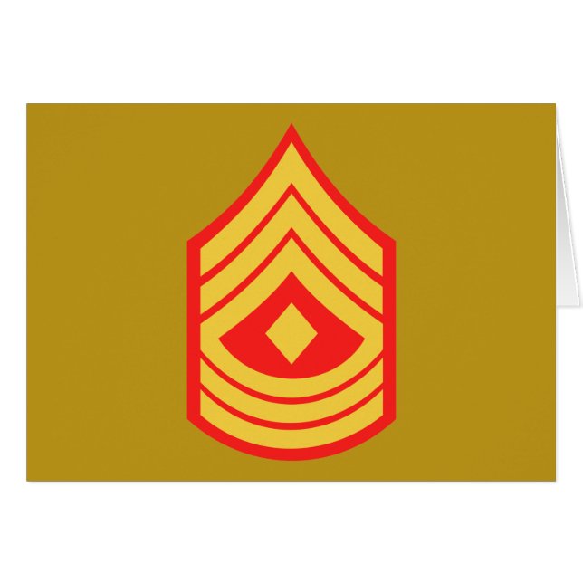 USMC 1st Sgt First Sergeant E-8 (Voorkant Horizontaal)