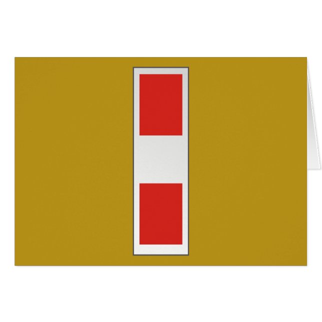 USMC CWO3 Chef de distorsion 3 W-3 (Devant horizontal)