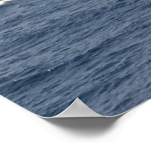 USS Dwight D. Eisenhower (CVN 69) Poster (Hoek)