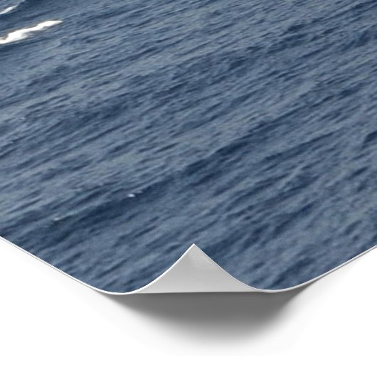 USS Dwight D. Eisenhower (CVN 69) Poster (Hoek)